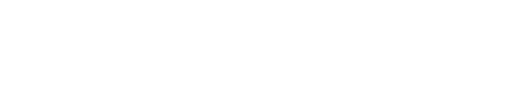 ИРВИС